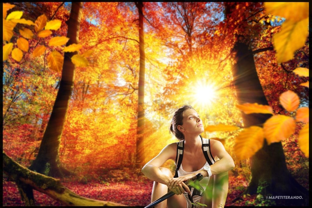 randonnée automne