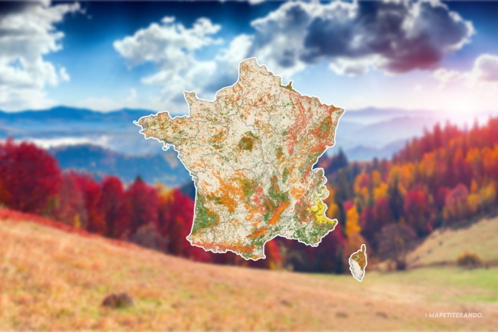 carte automne