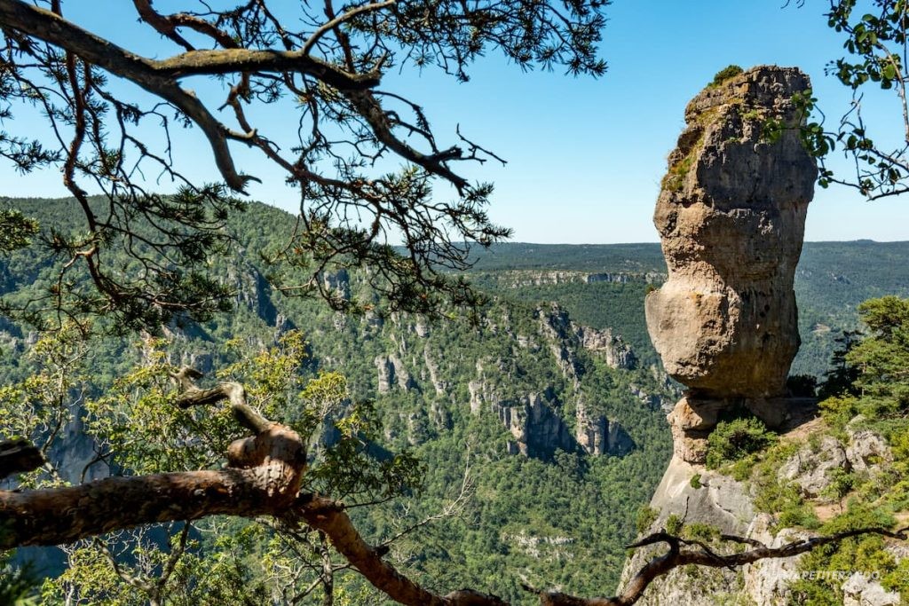 randonnée gorges de la jonte