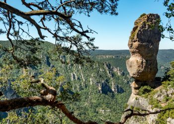 randonnée gorges de la jonte