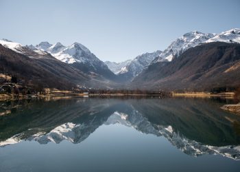 lac génos