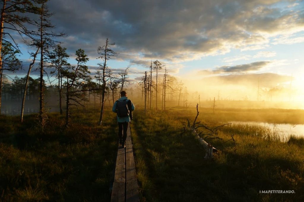 Estonie du nord au sud