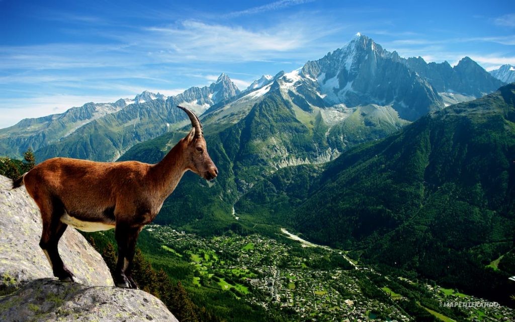 vacances savoie