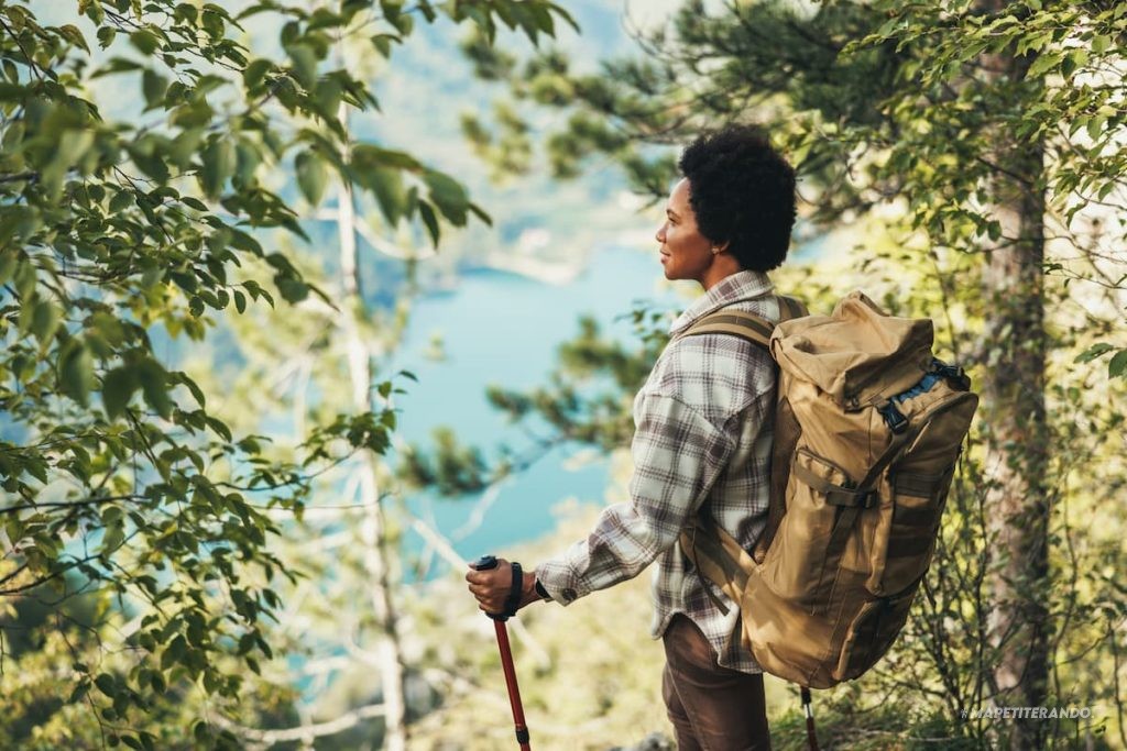journée forêt