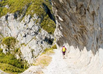 chemin de la mâture