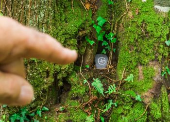 geocaching