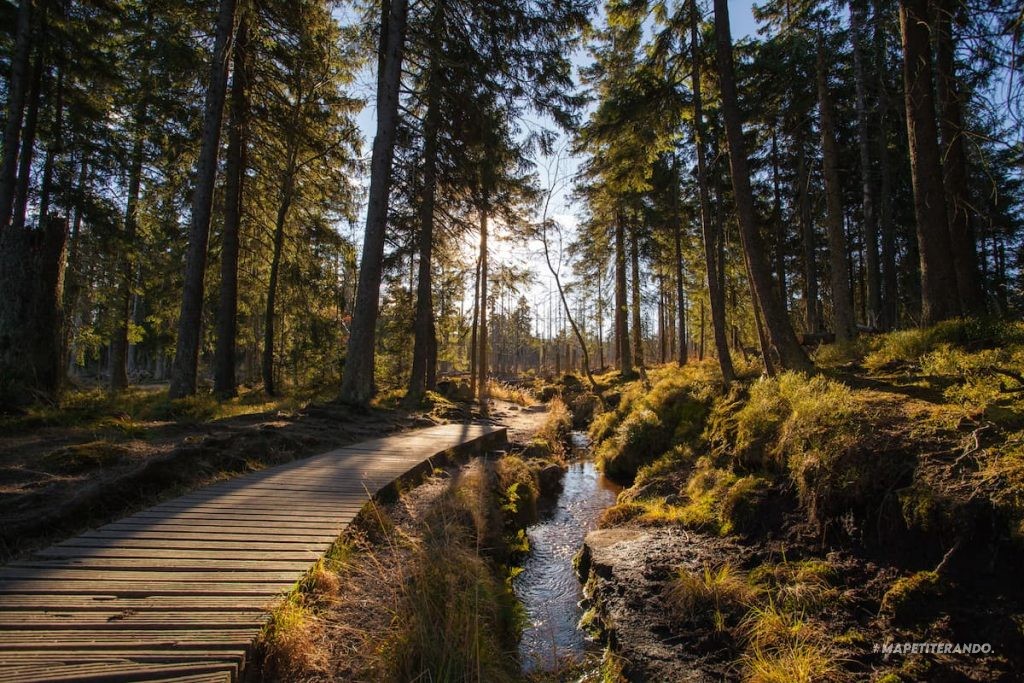 chemin des sorcières