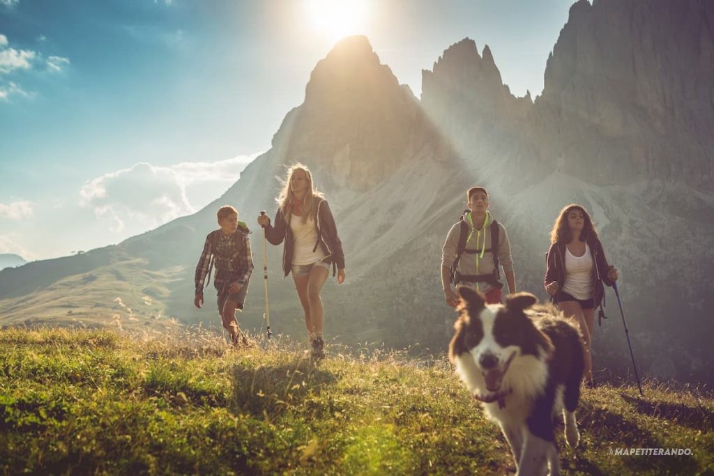 randonnée avec chien