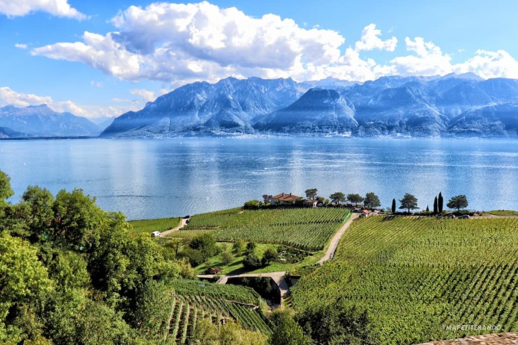 lac léman randonnée