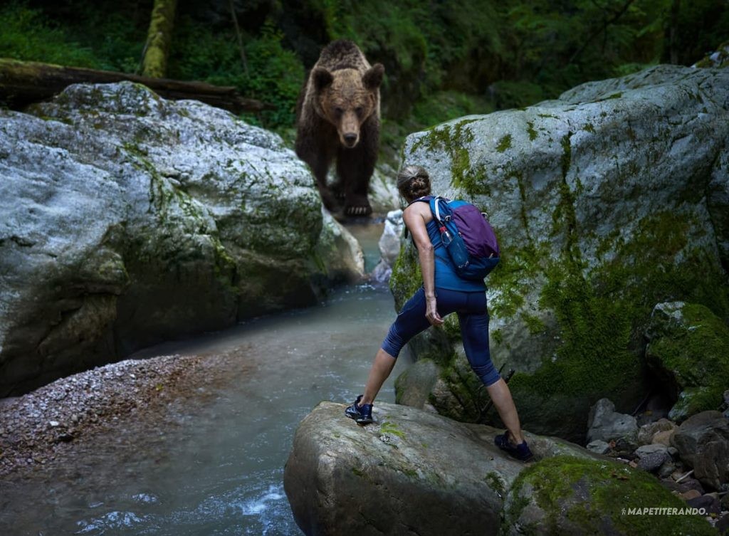 randonnée ours