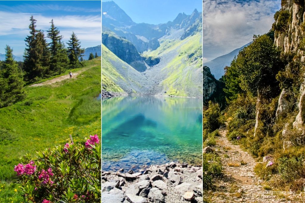 lac de crop