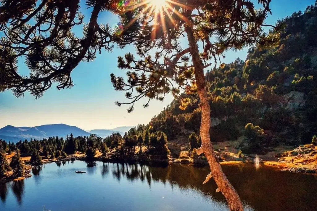 lac achard