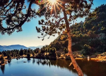 lac achard