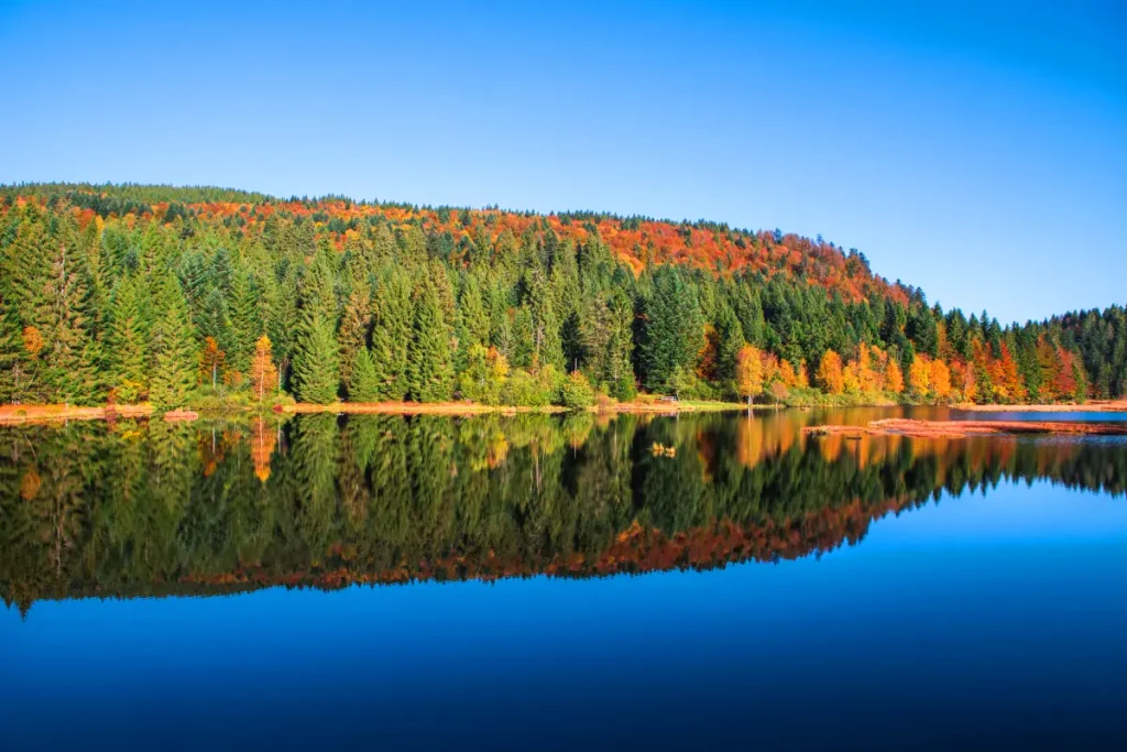 lac de lispach