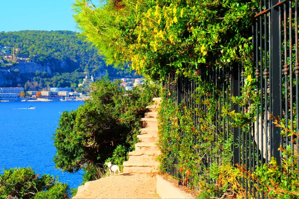 cap ferrat