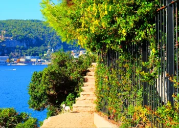 cap ferrat