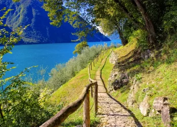 sentier des oliviers