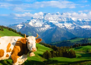 tour des dents du midi
