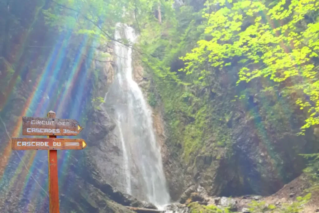 rando cascade dard