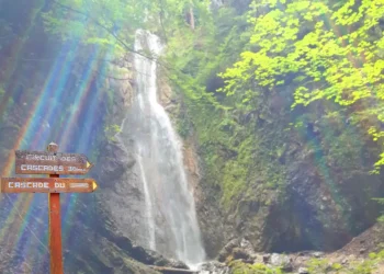 rando cascade dard