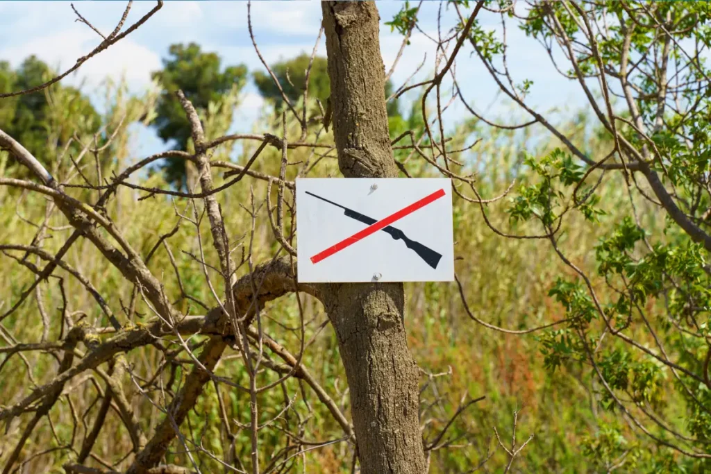 actu chasse