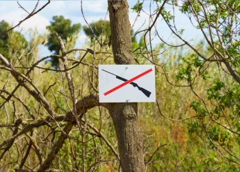 actu chasse