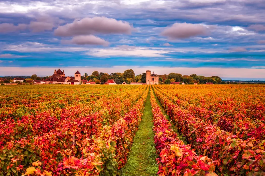 bourgogne france