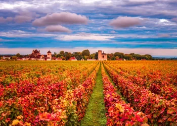 bourgogne france