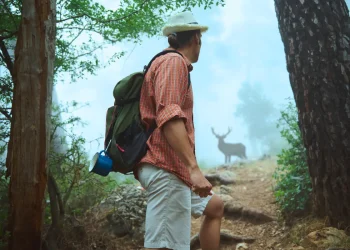 zone de chasse rando