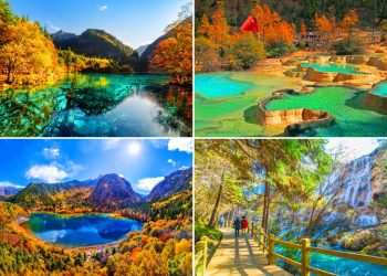 parc chine
