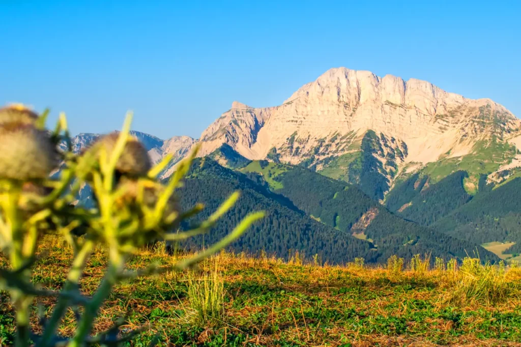 grand veymont