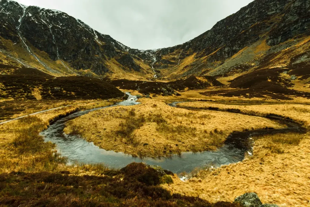 corrie fee
