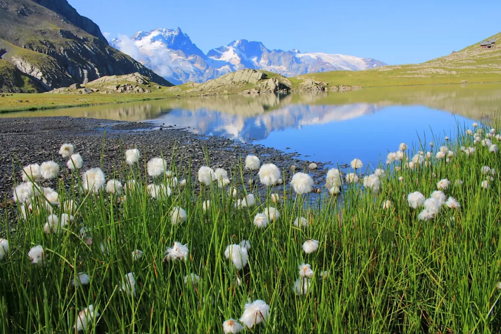 lac goléon
