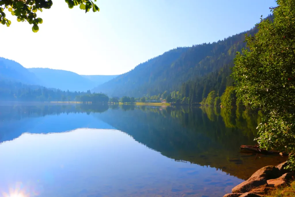 lac longermer
