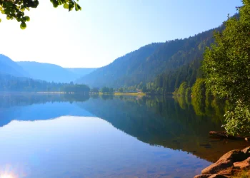 lac longermer