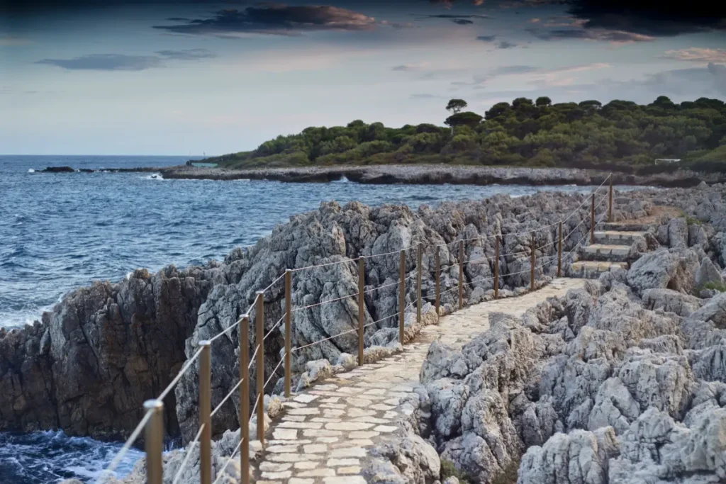 chemin tire poil