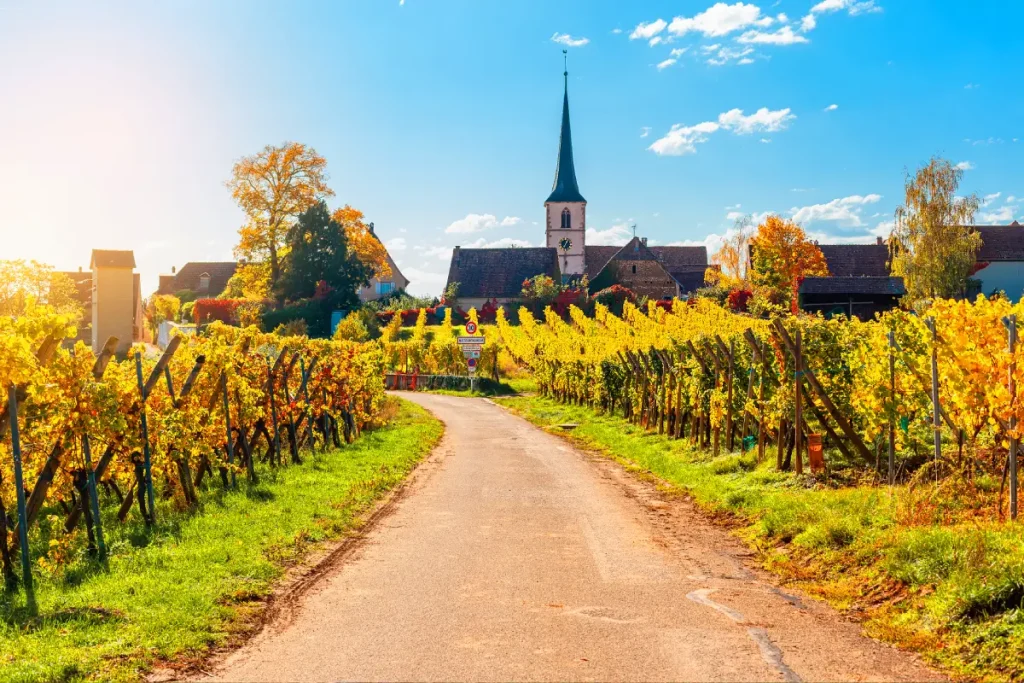 mittelbergheim