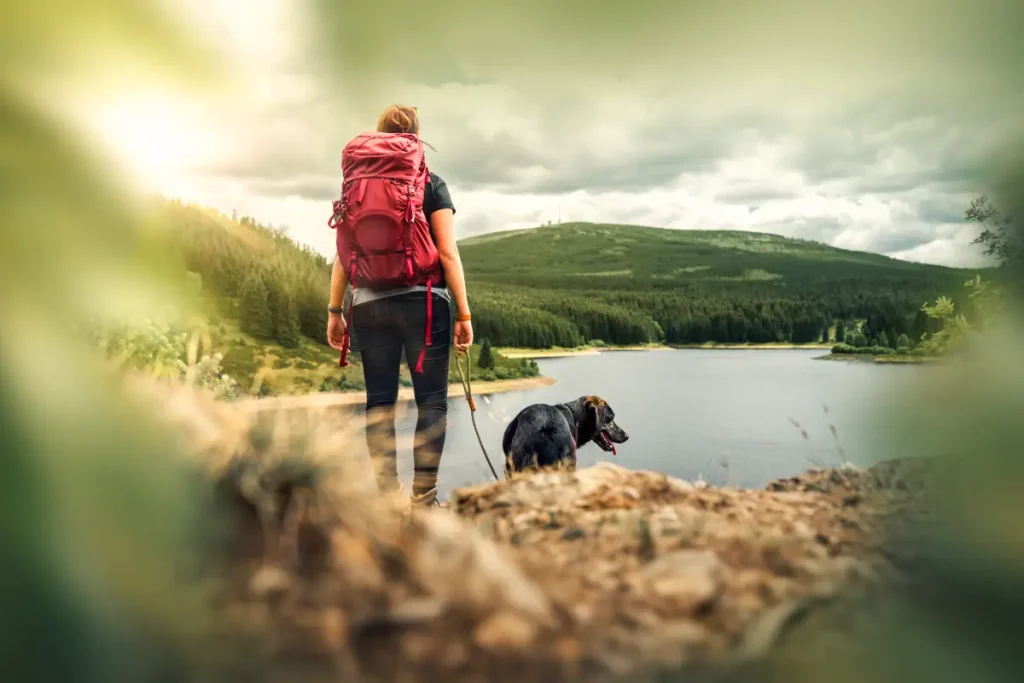 randonner avec son chien