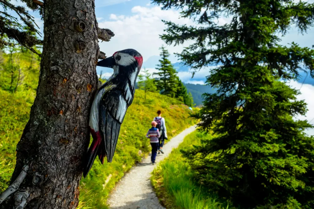 Parc National de Hohe Tauern en Autriche
