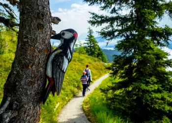 Parc National de Hohe Tauern en Autriche