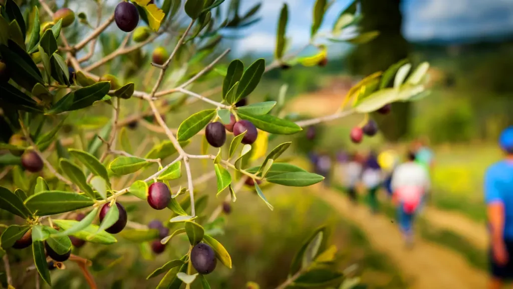 provence hors saison