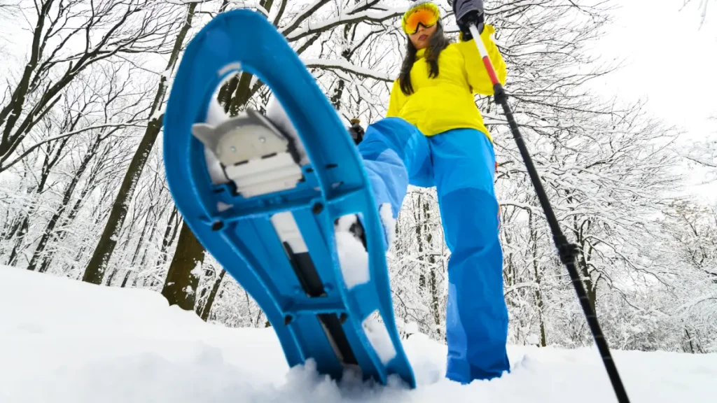 raquettes a neige