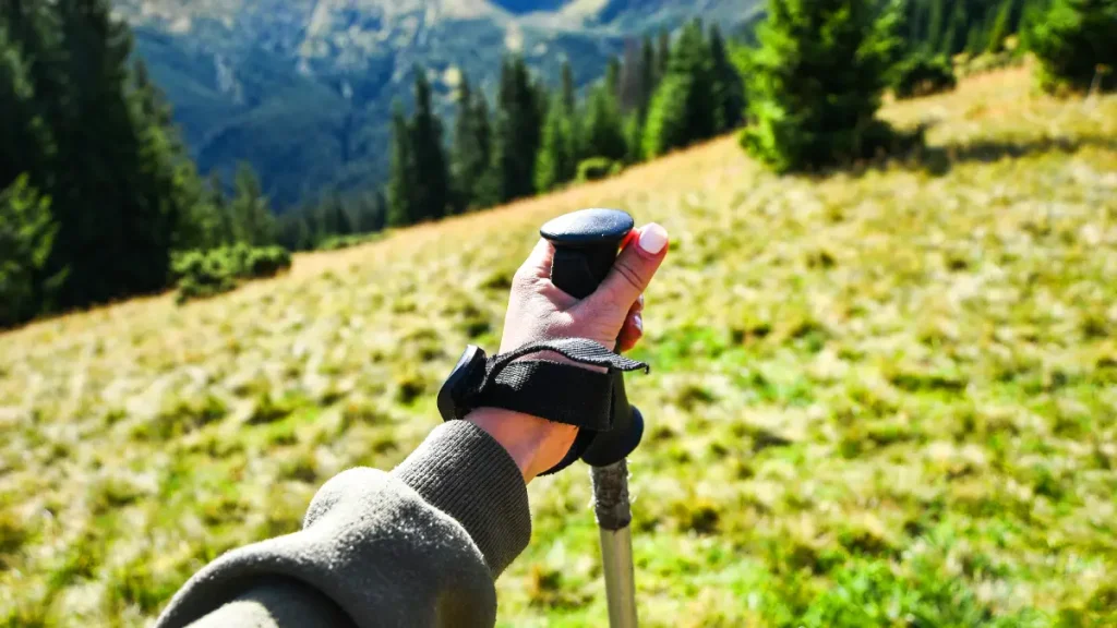 meilleurs batons de rando