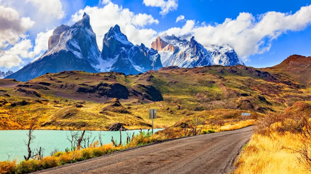 trek w