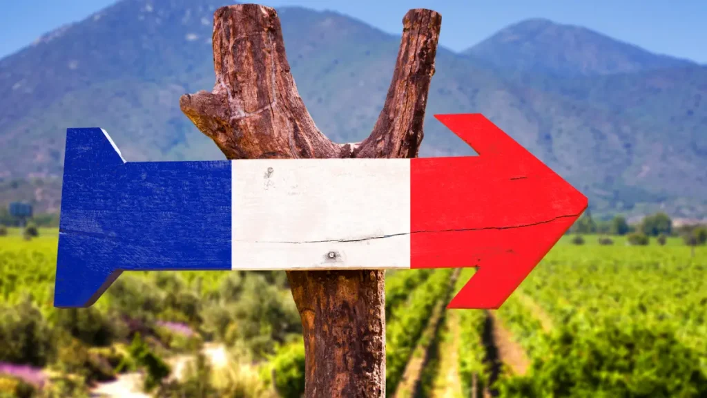 vignes jura