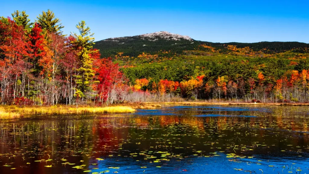 Monadnock