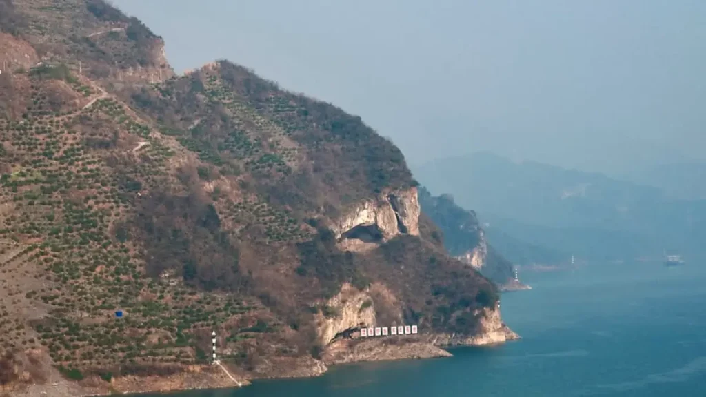 chine montagne chien