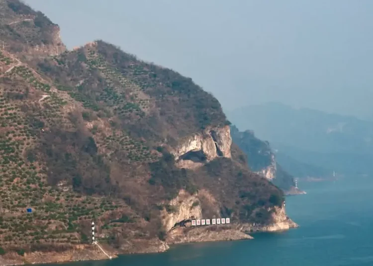 chine montagne chien
