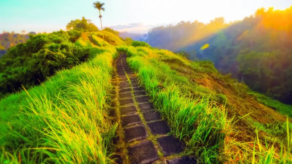 bali randonnées