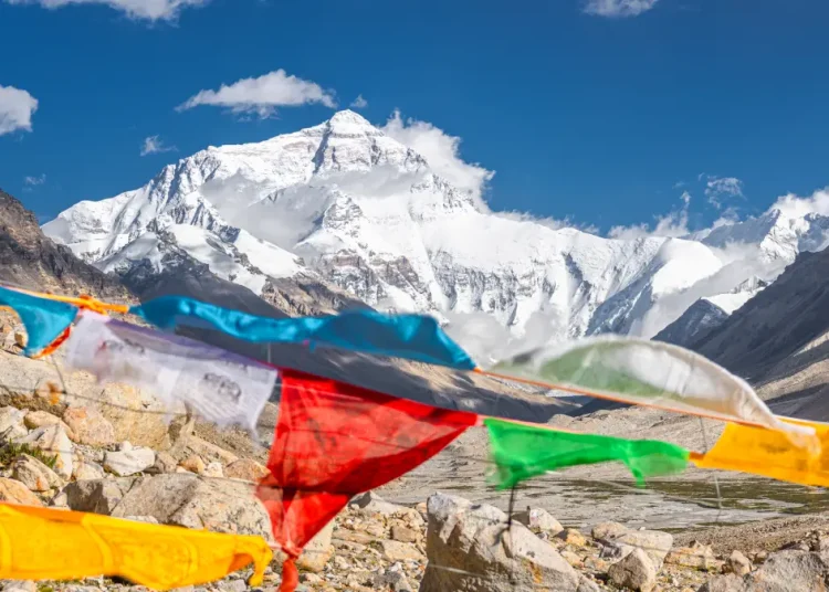 everest dopant